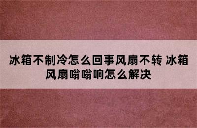 冰箱不制冷怎么回事风扇不转 冰箱风扇嗡嗡响怎么解决